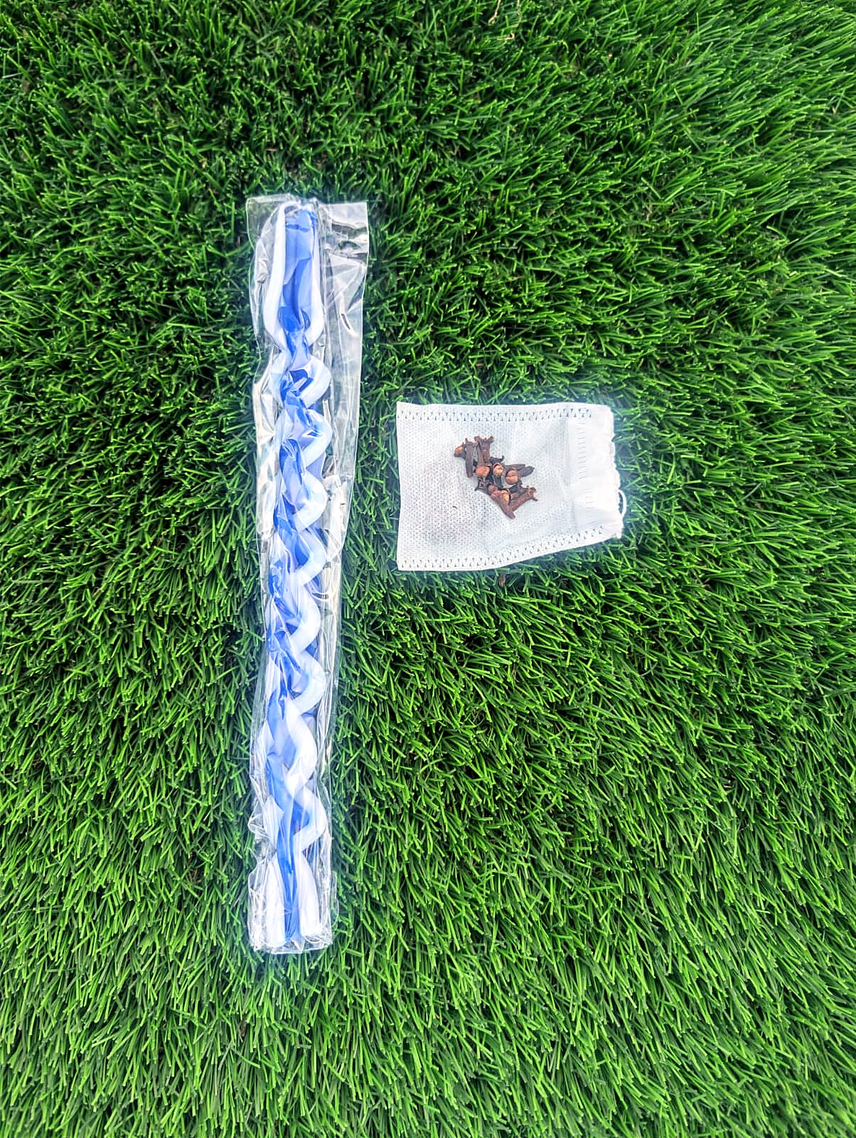 Havdalah candle and cloves on grass